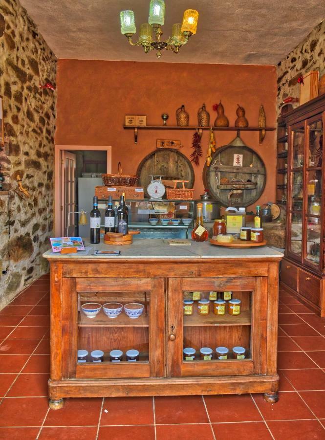 Quinta Do Barracao Da Vilarica Lodões Екстериор снимка