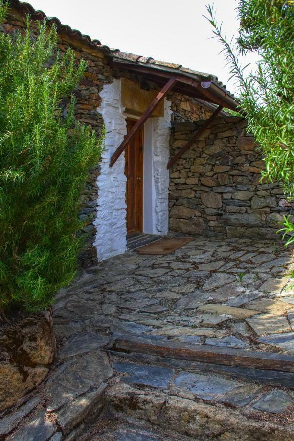 Quinta Do Barracao Da Vilarica Lodões Екстериор снимка